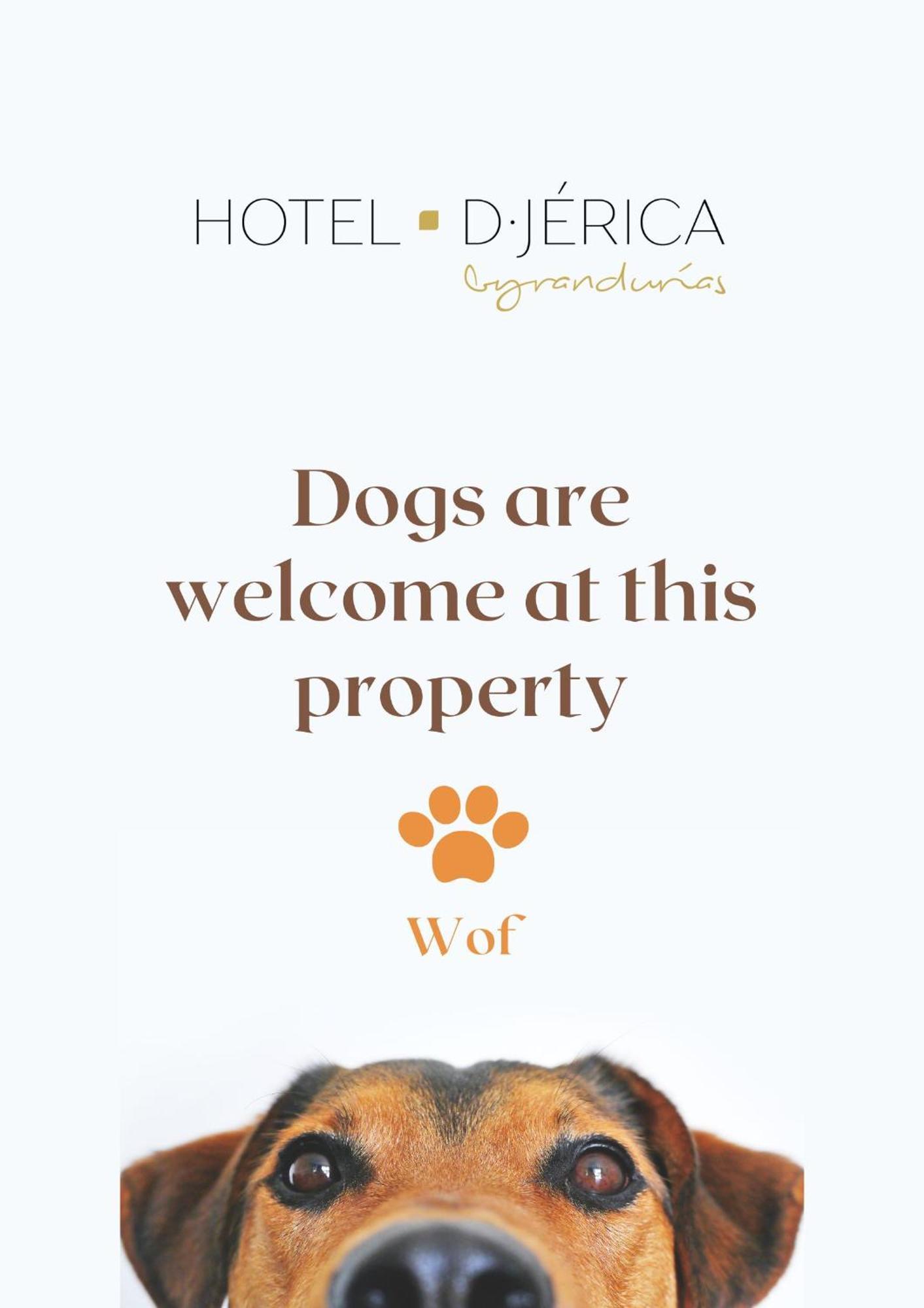 Hotel De Jerica Exterior photo